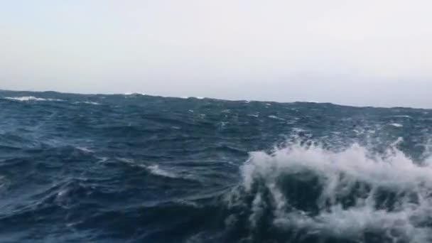 Storm Drake Passage — Stock Video