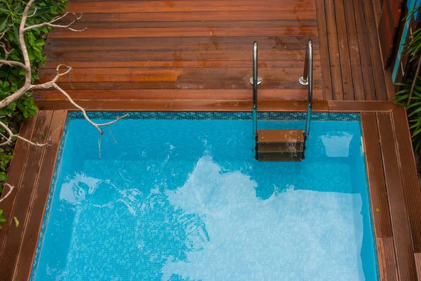 수영장에서의 사다리 바닥과 나무와 포위를 선택적 — 스톡 사진