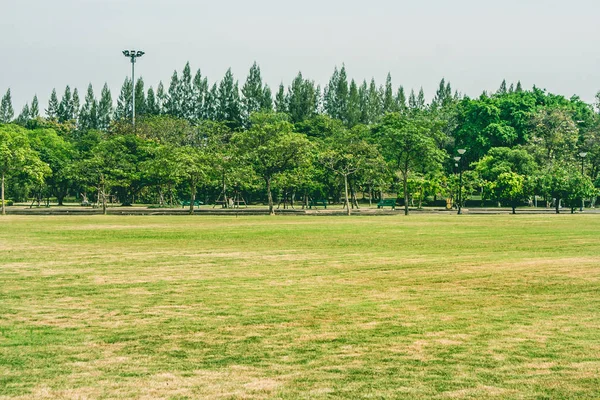 Vista Tropical Del Campo Hierba Verde Parque Público Con Árboles — Foto de Stock