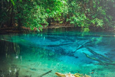 Krabi Eyaleti, Tayland yağmur ormanlarında Mavi havuz veya Zümrüt havuz güzel manzara görünümü.