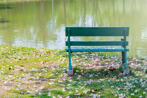 Green metal bench place on green lawn grass meadow field surrounded with dried pink flower fall from the trees in public park with lake in the background. (Selective focus)