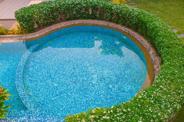 Top View Blue Water Swimming Pool Outdoor Surrounded Green Bush — Stock Photo, Image