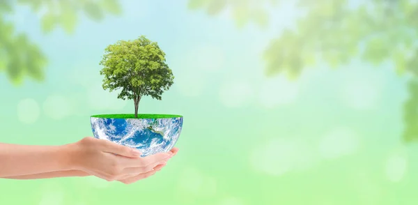 Ecology Conservation Concept Woman Hand Holding Green Tree Growth Planet — 图库照片