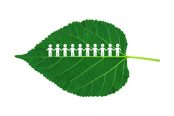 Ecology Concept Group People Figure Icon Standing Green Mulberry Leaves — Stok fotoğraf