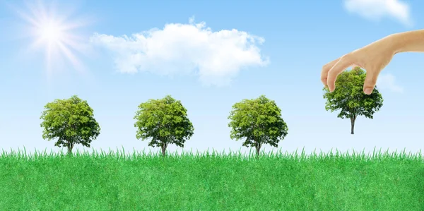 Ecologia Concetto Ambientale Tenere Mano Alberi Verdi Piantare Alberi Terra — Foto Stock