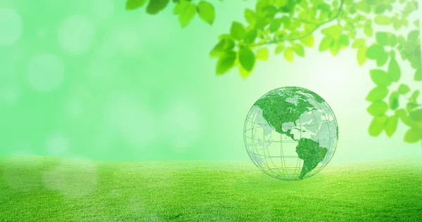 Ecology and Environmental Concept : Green planet earth globe with green trees in background.