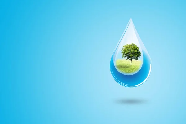 Οικολογία Και Περιβαλλοντική Έννοια Πράσινα Δέντρα Μπλε Σταγόνα Νερού Που — Φωτογραφία Αρχείου