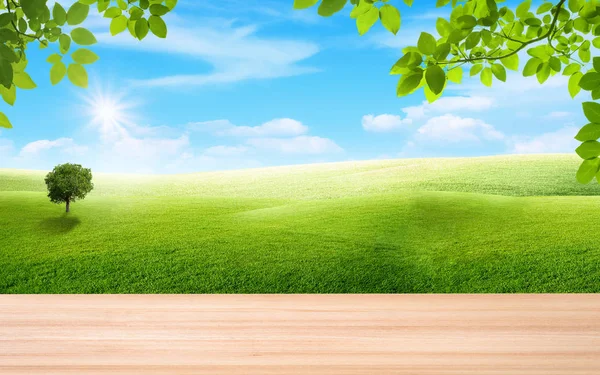 夏季绿草 天然草场 白云蓝天小山 木桌绿叶 风景秀丽 — 图库照片
