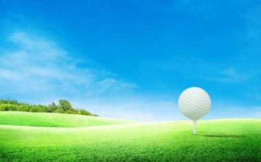 Beyaz golf topu golf sahasında ve yeşil çayır çayırında mavi gökyüzü ve arka planda ağaçlar.