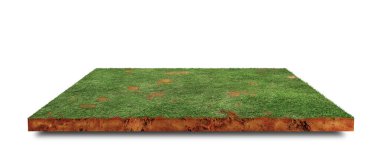 Kare yeşil çimlerin yan görüntüsü kahverengi toprak zemin beyaz zemin üzerinde izole.