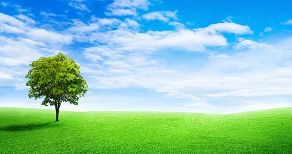 Einsamer Grüner Baum Auf Wiese Und Hügel Mit Weißen Wolken — Stockfoto