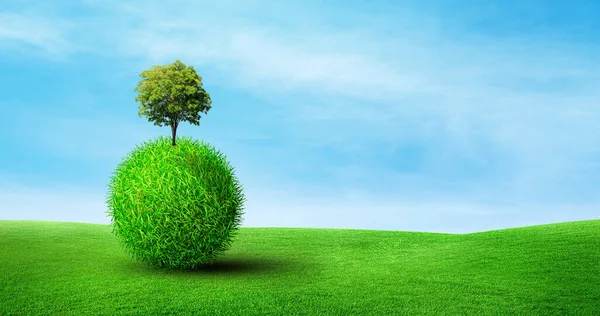 Green Earth and Ecology Concept : Tree growth on green grass sphere shape in blue background.