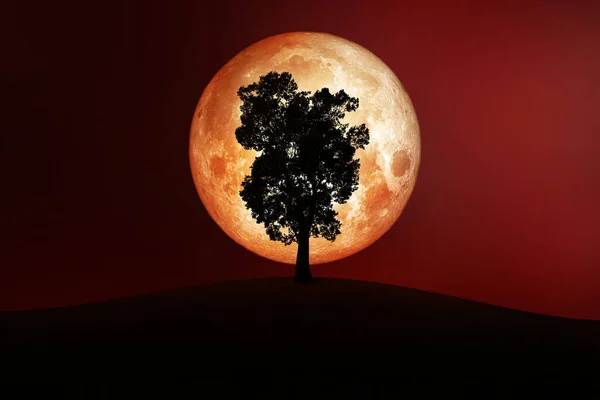 Luna Llena Espacio Con Silueta Árbol Colina Elementos Esta Imagen — Foto de Stock