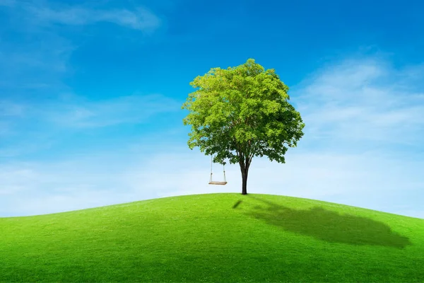 Holzschaukel Hängt Grünem Baum Mit Graswiese Und Blauem Himmel Hintergrund — Stockfoto