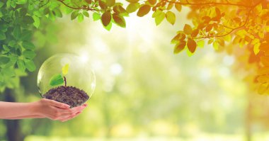 Ekoloji ve Çevre Konsepti: Su baloncuğunda kahverengi toprak boyunca el ele tutuşan küçük yeşil filizlenme ağacı.