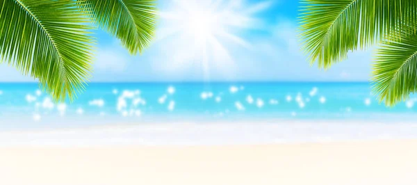 Summer Vacation Holiday Trip Concept Folhas Verdes Coco Com Imagem — Fotografia de Stock