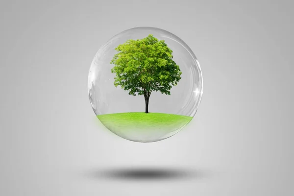 Οικολογία Και Περιβαλλοντική Έννοια Πράσινο Δέντρο Ανάπτυξης Μέσω Γρασίδι Λιβάδι — Φωτογραφία Αρχείου