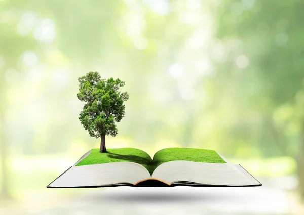 绿色生态概念 绿树生长通过打开的书 背景中的公园形象模糊不清 — 图库照片
