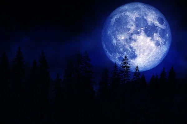 青の照明の背景に満月と暗い霧や霧の森の風景を表示します Nasaが提供するこの画像の要素 — ストック写真