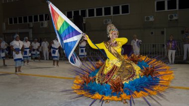 Florianopolis, Santa Catarina/Brezilya-Şubat/2018: Paraders karnaval