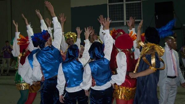 Florianopolis Brazílie Santa Catarina Únor 2018 Promenující Karneval — Stock fotografie