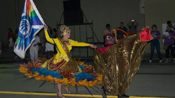 Florianopolis, Santa Catarina/Brezilya-Şubat/2018: Paraders karnaval