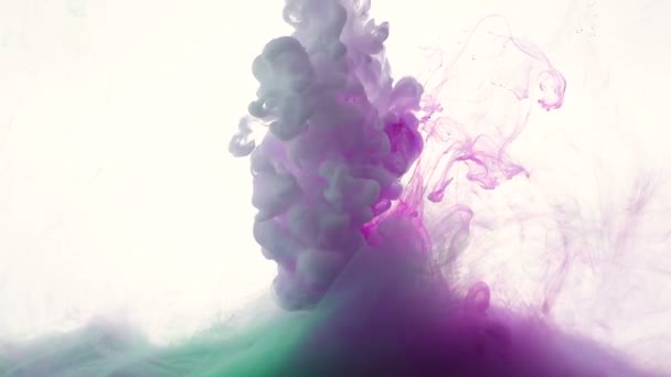 Kolor Mieszania Wodzie Białym Tle Prawdziwy Strzał Farba Abstrakcja Dym — Wideo stockowe