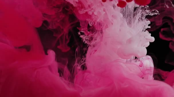 红色和白色混合在黑色背景上隔离的水中 真正的射击油漆抽象烟雾爆炸 关闭视图 — 图库视频影像