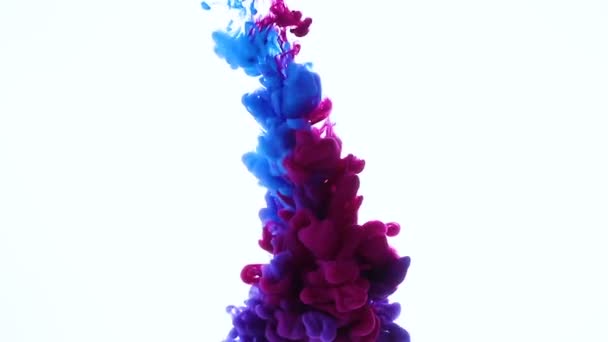 Modré a růžové barvy, míchání ve vodě. Inkoust, která se pod vodou. Mrak hedvábný inkoustu izolovaných na bílém pozadí. Barevné abstraktní kouře exploze skutečné střílet. Pohled na plochu.