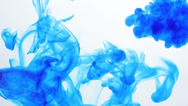 Μπλε Χρώμα Ανάμειξης Στο Νερό Μελάνι Στροβιλίζονται Υποβρύχια Σύννεφο Μεταξένια — Αρχείο Βίντεο
