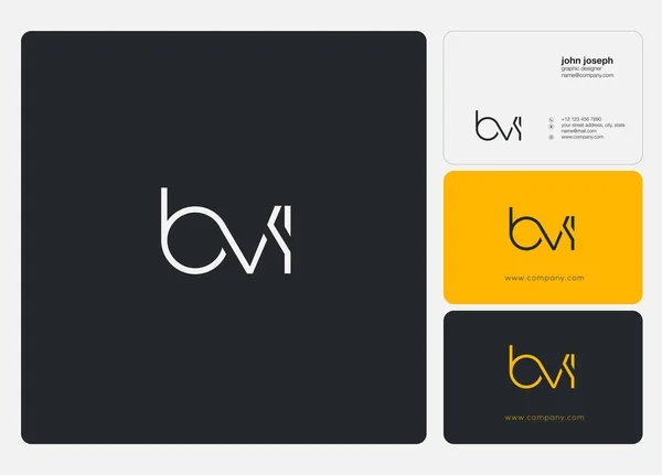 Logo Conjunto Bvi Para Tarjeta Visita Plantilla Vector — Vector de stock