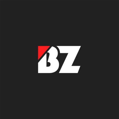 logo ortak Bz kartvizit şablon olarak vektör