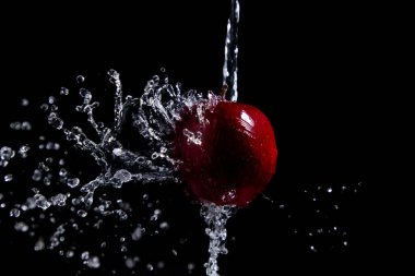 siyah arka plan üzerinde kırmızı elma sıçrama