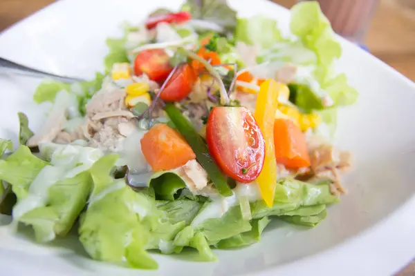 Fresh Vegetable Salad Plate — Stock Photo, Image