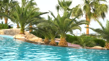 havuz ve sahil otel palmiye ağaçlarının