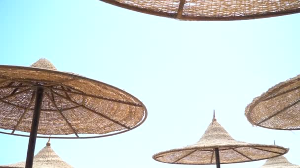 Ochtend op een tropisch strand, zandstrand met ligstoelen en parasols, ligstoelen en parasols aan een zandstrand, op het strand, de zon schijnt door — Stockvideo