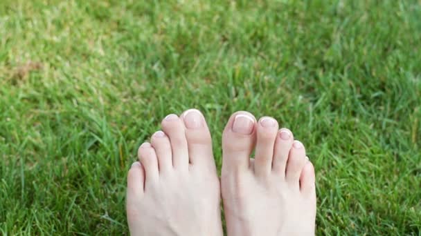 Bir çayırda yeşil çimenlerin üzerinde bir kadının bacakları. HD video — Stok video