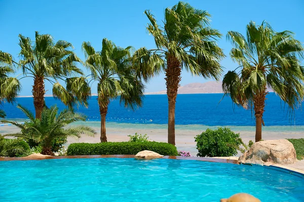 Palmeiras de verão no calçadão costeiro com vista para o mar vermelho e piscina, conceito de viagem no Egito, Sharm El Sheikh — Fotografia de Stock