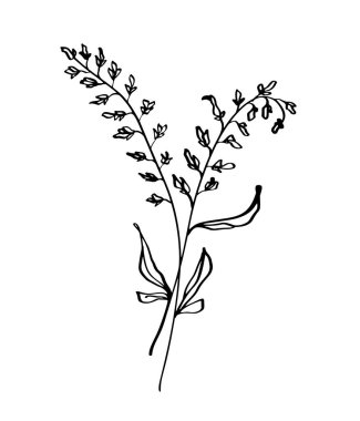 Arka plan beyaz elle çizilmiş modern çiçek çizim ve eskiz hat-sanatı, vektör çizim düğün tasarım t-shirt, posterler, tebrik kartları için çanta üzerinde izole için çiçek