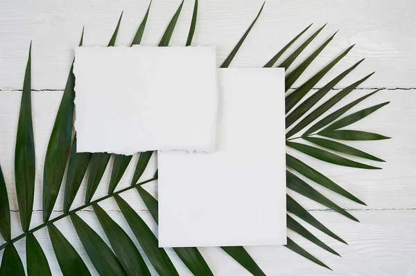 White blank greeting card on a background with palm leaf on a white wooden background with space for your text. Mockup with envelope and blank card. Flat lay. Top view