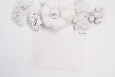 Mockup beyaz kabak, çilek ve bir ahşap sonbahar arka plan üzerinde bırakır. Rustik tarzda Şükran günü için tebrik kartı, metin için yer ile. Düz yatıyordu. Üstten görünüm