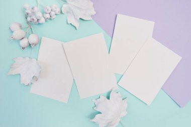 Çilek ve turkuaz ve menekşe pastel sonbahar zemin üzerine beyaz yaprak kağıt beyaz çerçeve mockup ile bırakır. Metin alanı olan Şükran günü rustik tarzı için tebrik kartı