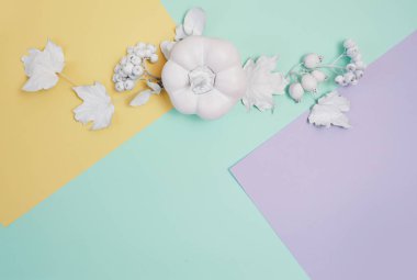 Kabak, çilek ve yaprakları çok renkli pastel sonbahar arka plan üzerinde beyaz çerçeve mockup. Rustik tarzda Şükran günü için tebrik kartı, metin için yer ile. Düz yatıyordu. Üstten görünüm