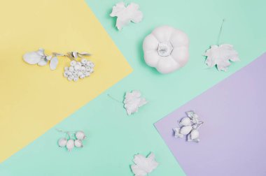 Kabak, çilek ve yaprakları çok renkli pastel sonbahar arka plan üzerinde beyaz çerçeve mockup. Rustik tarzda Şükran günü için tebrik kartı, metin için yer ile. Düz yatıyordu. Üstten görünüm