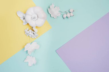 Kabak, çilek ve yaprakları çok renkli pastel sonbahar arka plan üzerinde beyaz çerçeve mockup. Rustik tarzda Şükran günü için tebrik kartı, metin için yer ile. Düz yatıyordu. Üstten görünüm