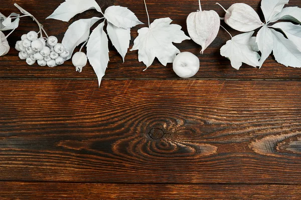 Decoração moldura de outono com folhas brancas e abóbora em marrom escuro backgound de madeira plana leigos mockup para sua arte, imagem ou mão lettering. Composição espaço de cópia, vista superior — Fotografia de Stock