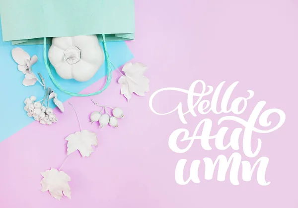 Pink mockup with pumpkin, berries, leaves and package on a multicolor pastel autumn background. Greeting card for Thanksgiving Day in rustic style with text Hello Autumn. Flat lay. Top view — Stock Photo, Image