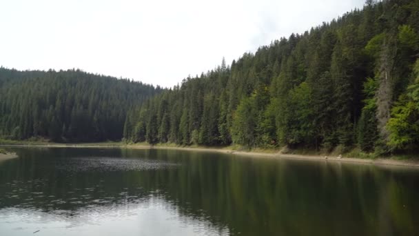 Synevir lago de alta altitude e floresta é refletida em água calma no dia de verão. 4k vídeo — Vídeo de Stock