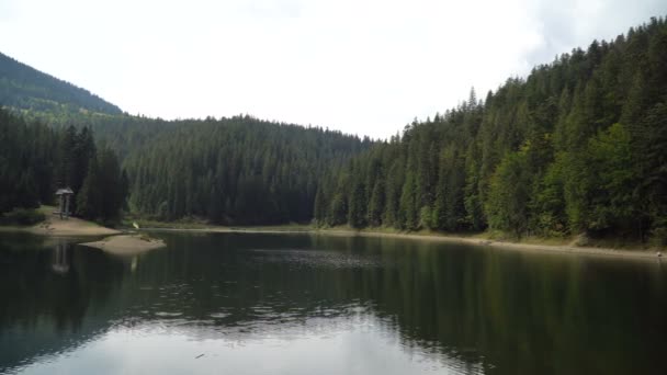 Синевирское высокогорное озеро и лес отражаются в спокойной воде в летний день. 4k видео — стоковое видео