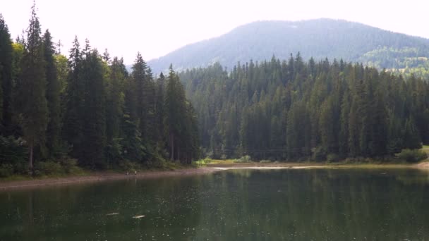 Синевирское высокогорное озеро и лес отражаются в спокойной воде в летний день. 4k видео — стоковое видео